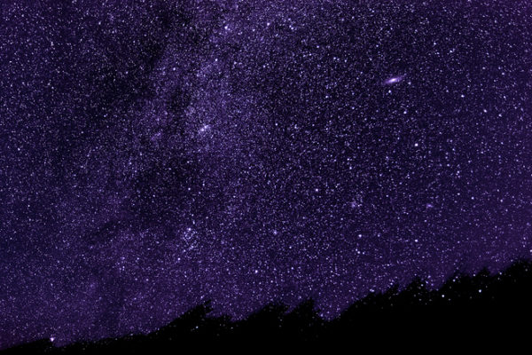 A field of stars